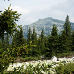 Коттеджный комплекс Таежное, Челябинская область