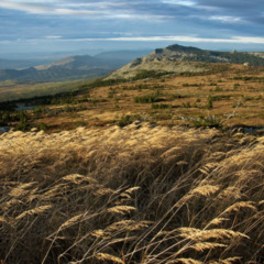 Коттеджный комплекс Таежное, Челябинская область
