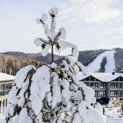 Горнолыжный курорт Altay Restart, Алтайский край