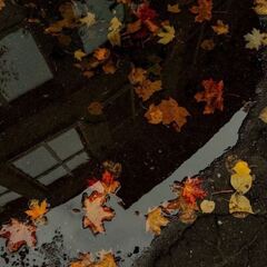 Апартаменты ART APART, Ленинградская область