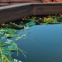 Глэмпинг По Щучьему велению, Воронежская область