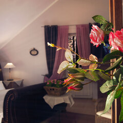 Гостевой дом Villa a la Russe, Московская область