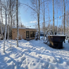 Дом в аренду Усадьба ЁлкиШале с баней и чаном, Московская область