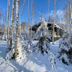 Дом в аренду Усадьба ЁлкиШале с баней и чаном, Московская область