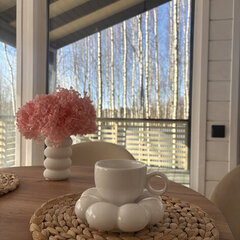 Дом в аренду Усадьба ЁлкиШале с баней и чаном, Московская область