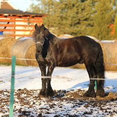 Дом Хорошее место , Ленинградская область