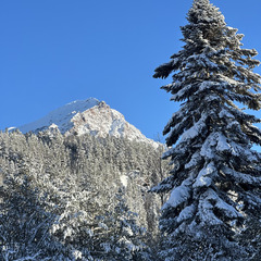 База отдыха Шепот леса, Республика Карачаево-Черкесия 