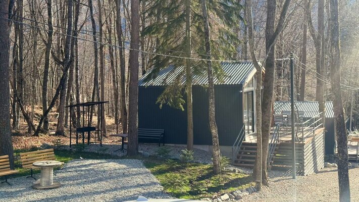 Шепот леса — фото 3