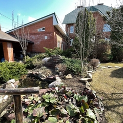 Коттедж в аренду Эгоист, Самарская область