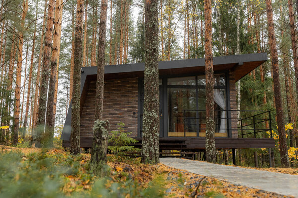 Вино и сосны — фото 1