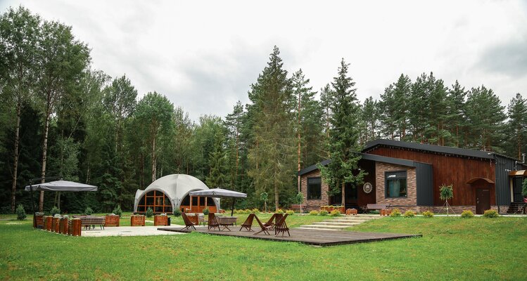 Вино и сосны — фото 2