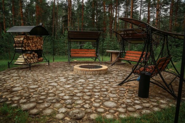 Вино и сосны — фото 3