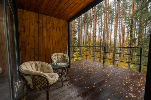 Вино и сосны — фото 4