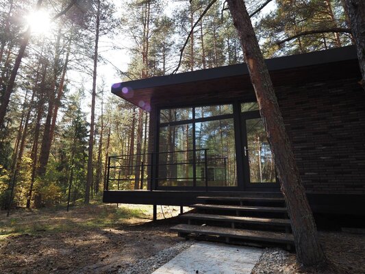 Вино и сосны — фото 5