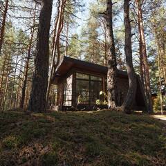 База отдыха Вино и сосны, Владимирская область