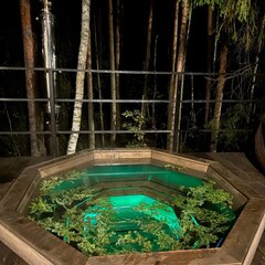 База отдыха Вино и сосны, Владимирская область