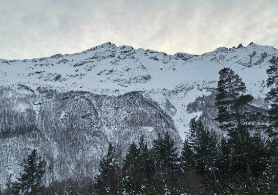 Четыре сезона — фото 4