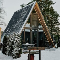 Гостевой дом Dream House in Karelia, Республика Карелия