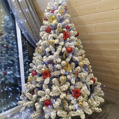 Гостевой дом Dream House in Karelia, Республика Карелия