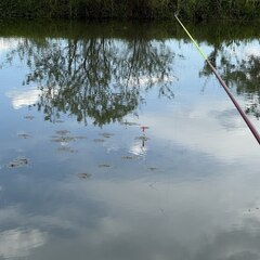 Гостевой дом ВИДИСВЕТ, Республика Адыгея