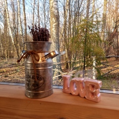 Дом Че Домики, Московская область