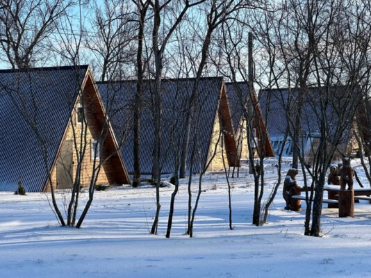 Река и Лес — фото 2