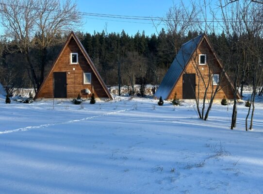 Река и Лес — фото 1