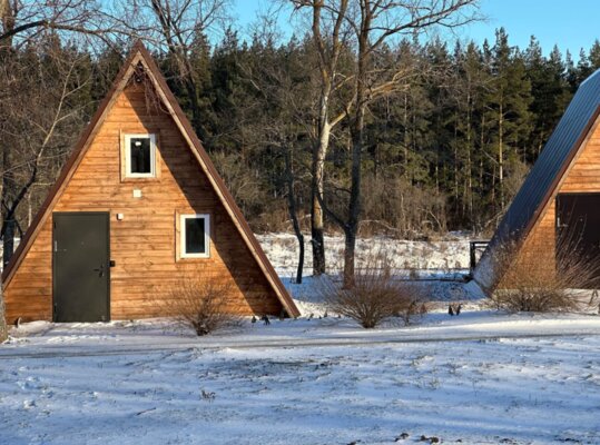 Река и Лес — фото 3