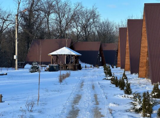 Река и Лес — фото 4