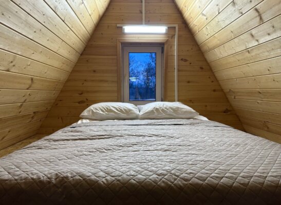 Река и Лес — фото 5