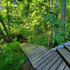 Дом Ёкикюля, Ленинградская область