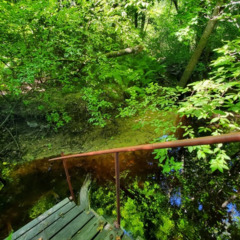 Дом Ёкикюля, Ленинградская область