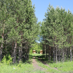 Глэмпинг Две эпохи, Самарская область