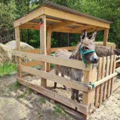 Глэмпинг Две эпохи, Самарская область