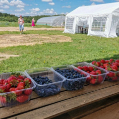 Глэмпинг Две эпохи, Самарская область