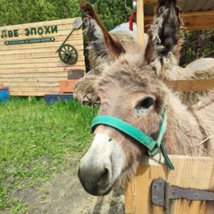 Глэмпинг Две эпохи, Самарская область