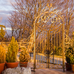 Гостевой дом PAPAYA PARK, Краснодарский край