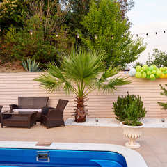 Гостевой дом PAPAYA PARK, Краснодарский край