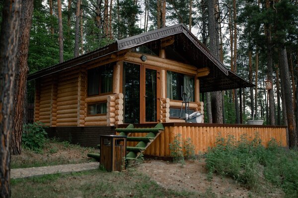 Сказочный лес — фото 2