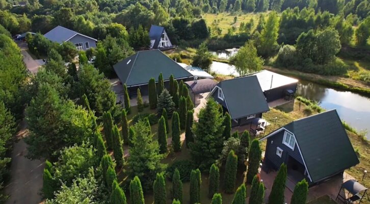 Подснежники  — фото 3