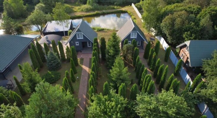 Подснежники  — фото 4