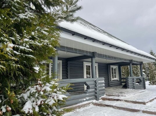 Подснежники  — фото 5