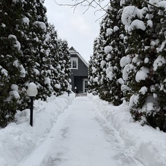 База отдыха Подснежники , Смоленская область