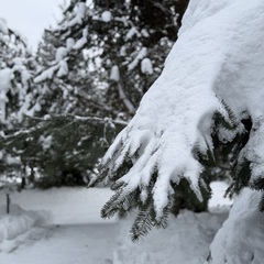 База отдыха Подснежники , Смоленская область