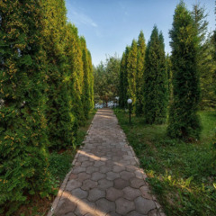 База отдыха Подснежники , Смоленская область