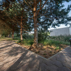 База отдыха Подснежники , Смоленская область