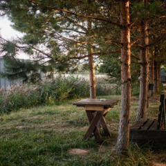 База отдыха Подснежники , Смоленская область