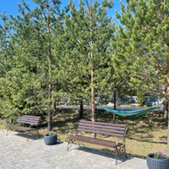 База отдыха Подснежники , Смоленская область