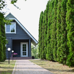 База отдыха Подснежники , Смоленская область