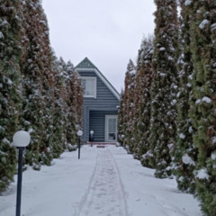 База отдыха Подснежники , Смоленская область